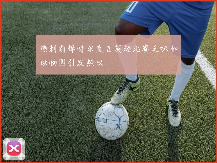 热刺前锋特尔直言英超比赛乏味如动物园引发热议